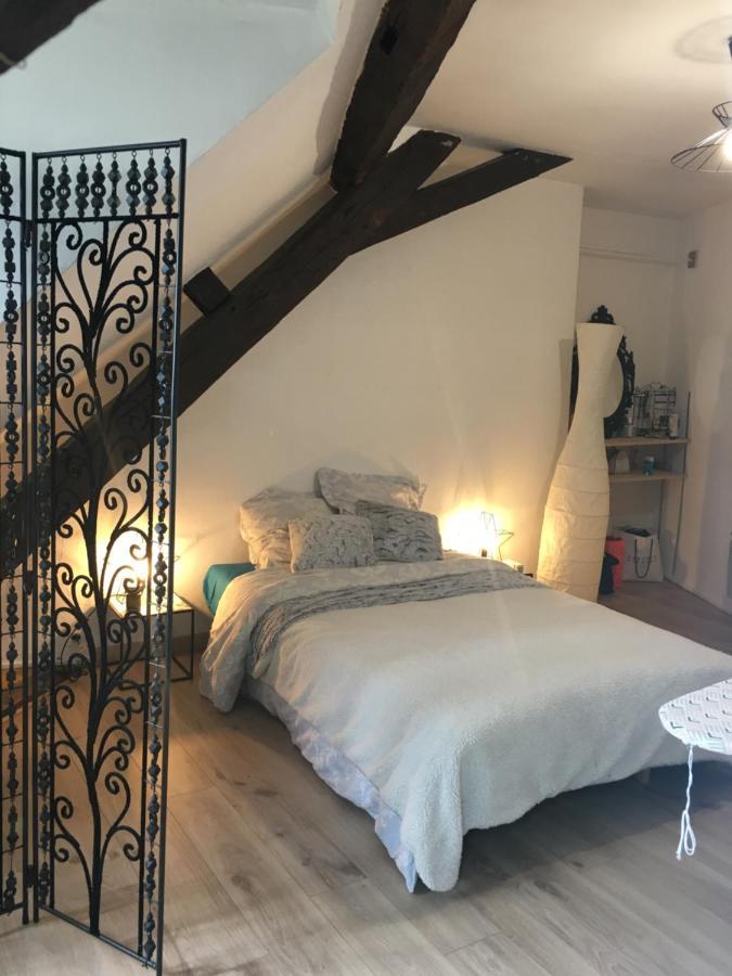 Plantagenet -Le Vieux Mans - Hyper Centre Leilighet Le Mans Eksteriør bilde